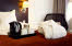Urheberrecht: Interior photographs of Scandic Hotels Scandic Victoria Tower, superior extra room